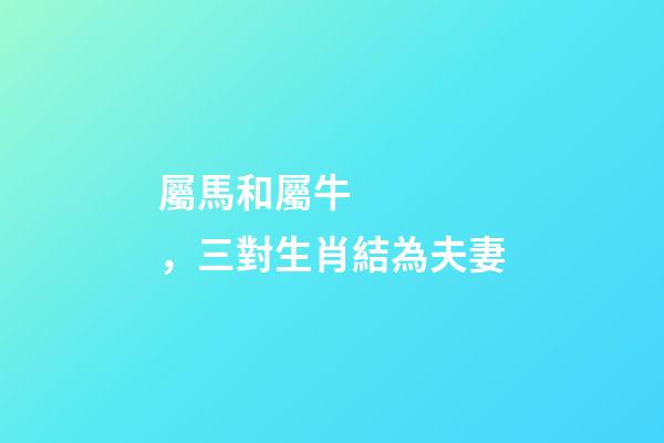 屬馬和屬牛，三對生肖結為夫妻